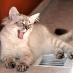 如何在C7娱乐中找到适合自己的游戏 1zorco