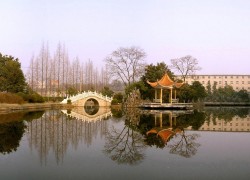 大满贯H5的用户反馈与改进建议 大满贯H5的用户反馈与改进建议