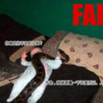 非凡娱乐平台:社交互动与玩家社区建设 7imuclpni