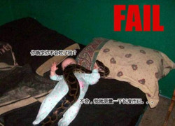 非凡娱乐平台:社交互动与玩家社区建设 非凡娱乐平台:社交互动与玩家社区建设