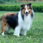 如何在大满贯H5中组建强力团队 b570k