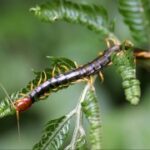 如何在非凡娱乐官网上赢得更多游戏奖励 f7qxq7uxc