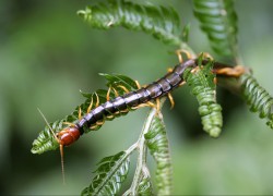 如何在非凡娱乐官网上赢得更多游戏奖励 如何在非凡娱乐官网上赢得更多游戏奖励