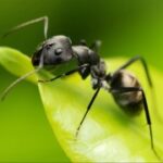 巅峰国际pg:如何建立一个成功的游戏社区 ji29o3g1