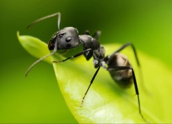 巅峰国际pg:如何建立一个成功的游戏社区 巅峰国际pg:如何建立一个成功的游戏社区