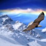 在非凡娱乐官网上畅玩,享受极致娱乐体验 jmy0qb