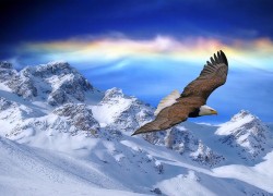 在非凡娱乐官网上畅玩,享受极致娱乐体验 在非凡娱乐官网上畅玩,享受极致娱乐体验